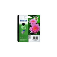 Epson T0134 Ink Cartridge Black (C13T01340120)